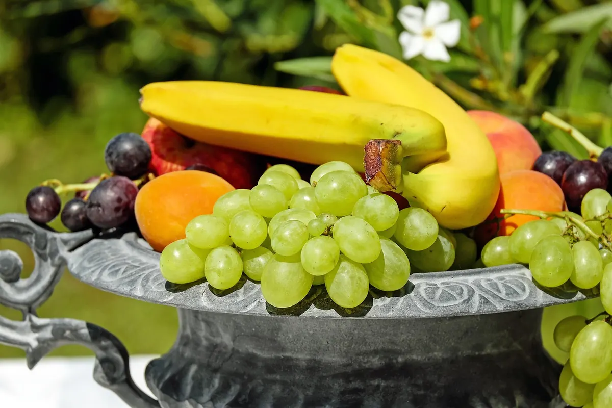 A Beginner's Guide to Olive Varieties: Kalamata, Manzanilla and Nocellara